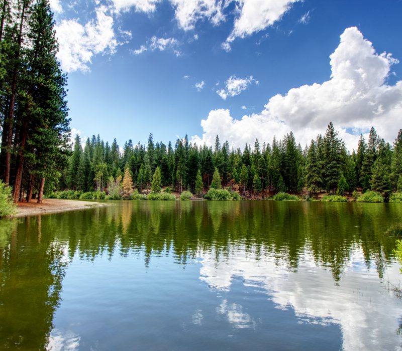 HDR shot of wooded shoreline at the Hume Lake in Sequoia & Kings Canyon National Park